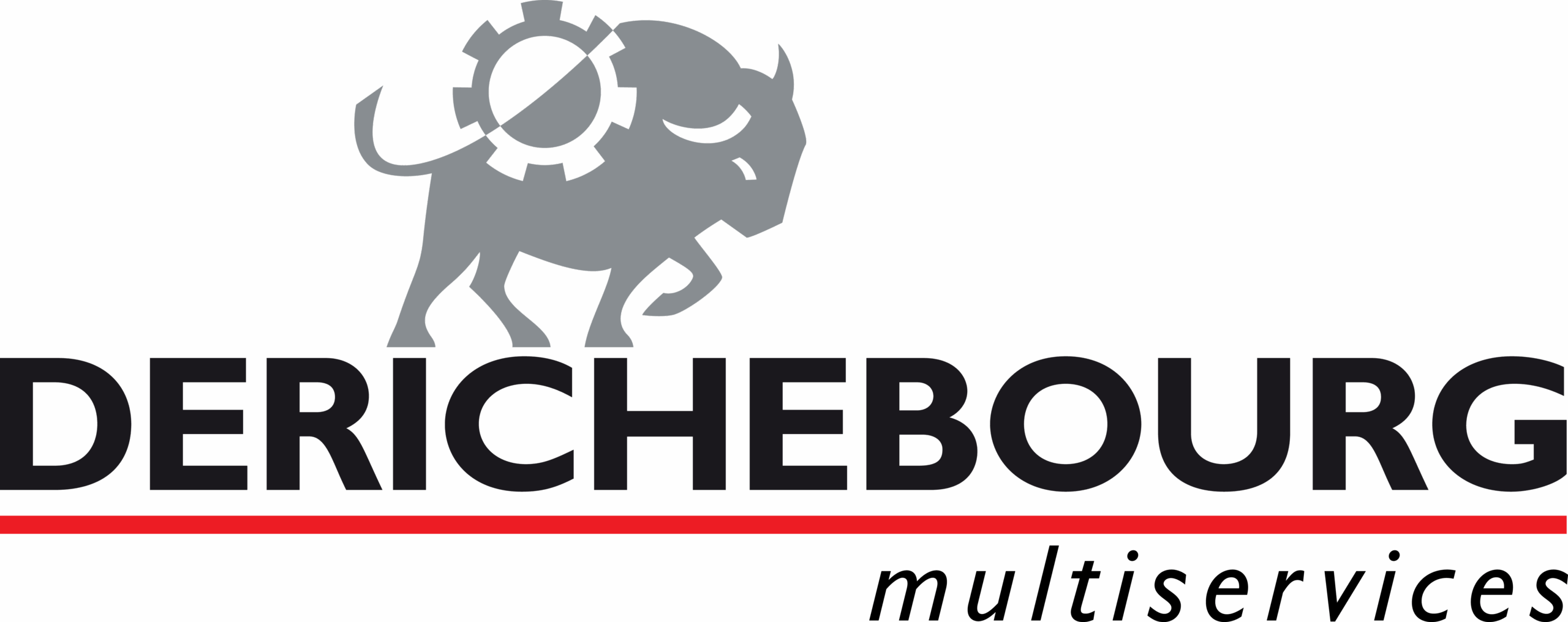 DERICHEBOURG-multiservices